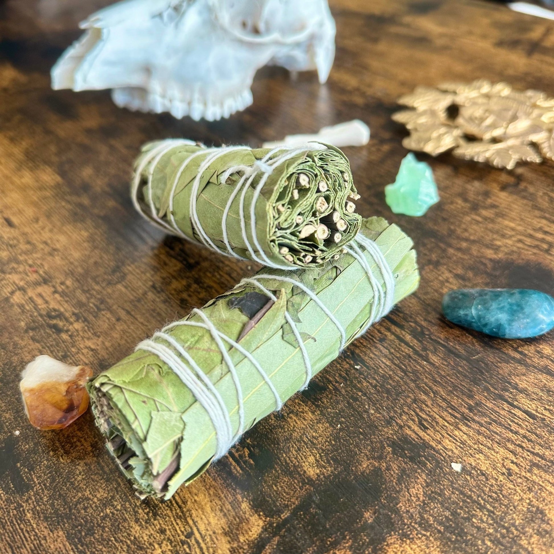 Eucalyptus Smudge Stick - Evolve Supply Co. Evolve Supply Co.