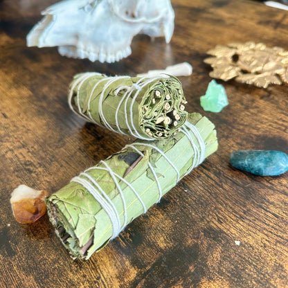 Eucalyptus Smudge Stick - Evolve Supply Co. Evolve Supply Co.