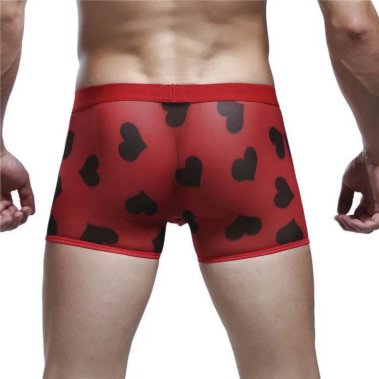Spandex Mesh Printed Pouch boxer briefs underwear men - Evolve Supply Co. Evolve Supply Co.