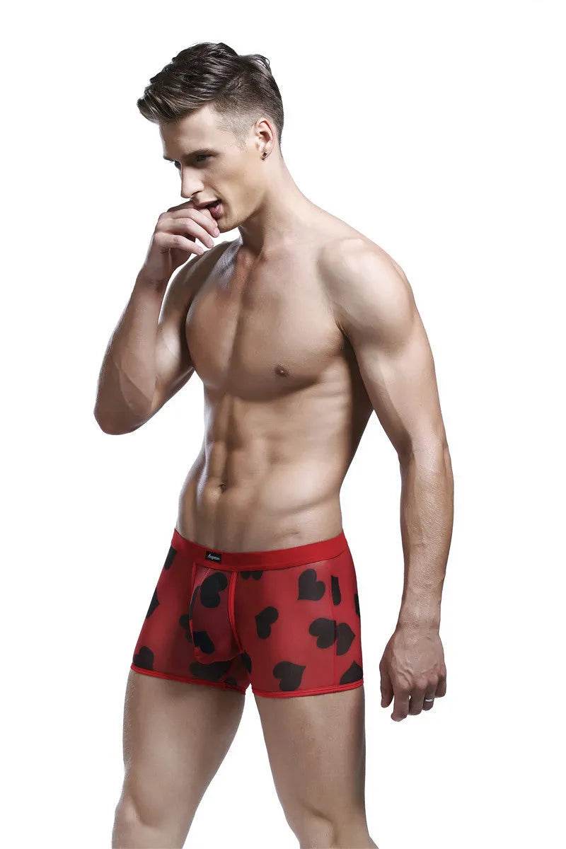 Spandex Mesh Printed Pouch boxer briefs underwear men - Evolve Supply Co. Evolve Supply Co.