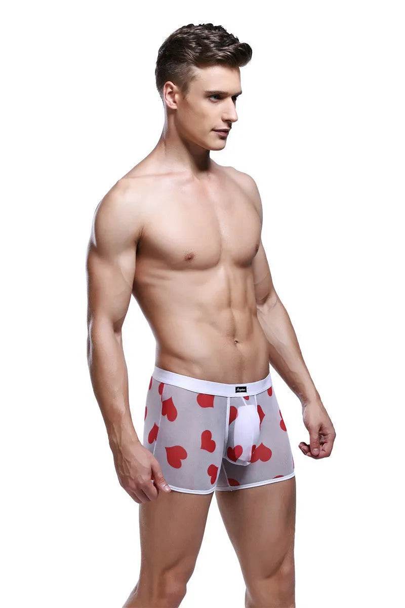 Spandex Mesh Printed Pouch boxer briefs underwear men - Evolve Supply Co. Evolve Supply Co.