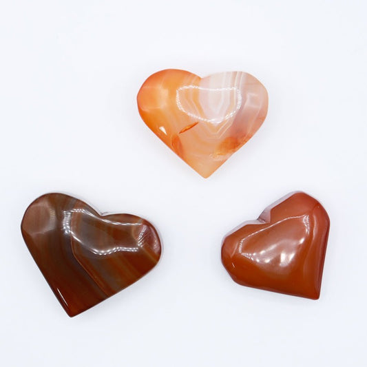 Carnelian Hearts - Evolve Supply Co. Evolve Supply Co.