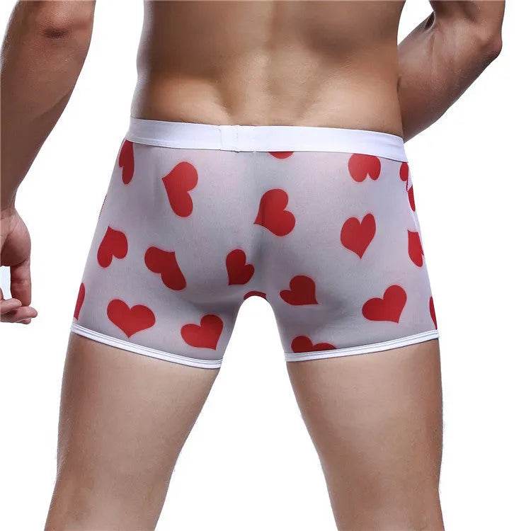 Spandex Mesh Printed Pouch boxer briefs underwear men - Evolve Supply Co. Evolve Supply Co.