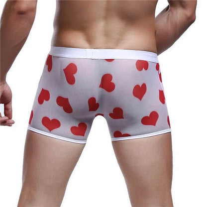 Spandex Mesh Printed Pouch boxer briefs underwear men - Evolve Supply Co. Evolve Supply Co.