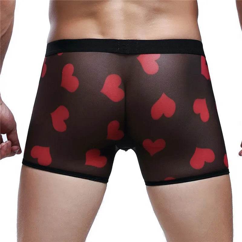 Spandex Mesh Printed Pouch boxer briefs underwear men - Evolve Supply Co. Evolve Supply Co.