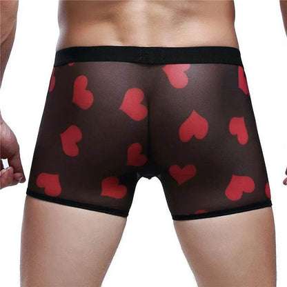 Spandex Mesh Printed Pouch boxer briefs underwear men - Evolve Supply Co. Evolve Supply Co.