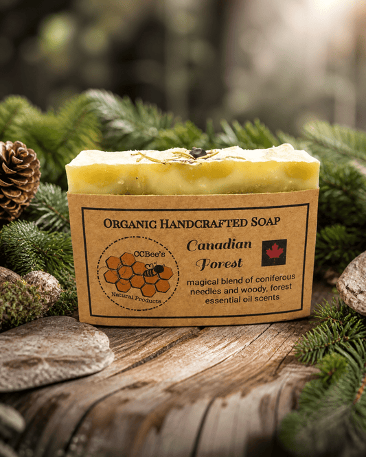 CANADIAN FOREST SOAP - Evolve Supply Co. Evolve Supply Co.