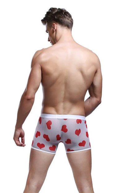 Spandex Mesh Printed Pouch boxer briefs underwear men - Evolve Supply Co. Evolve Supply Co.