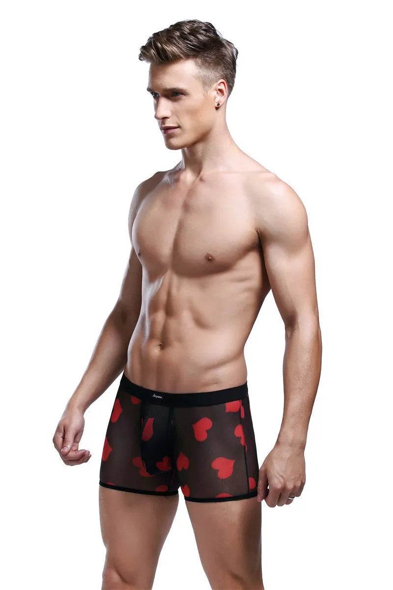 Spandex Mesh Printed Pouch boxer briefs underwear men - Evolve Supply Co. Evolve Supply Co.