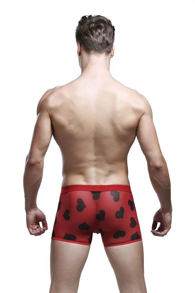 Spandex Mesh Printed Pouch boxer briefs underwear men - Evolve Supply Co. Evolve Supply Co.
