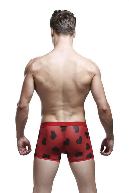 Spandex Mesh Printed Pouch boxer briefs underwear men - Evolve Supply Co. Evolve Supply Co.