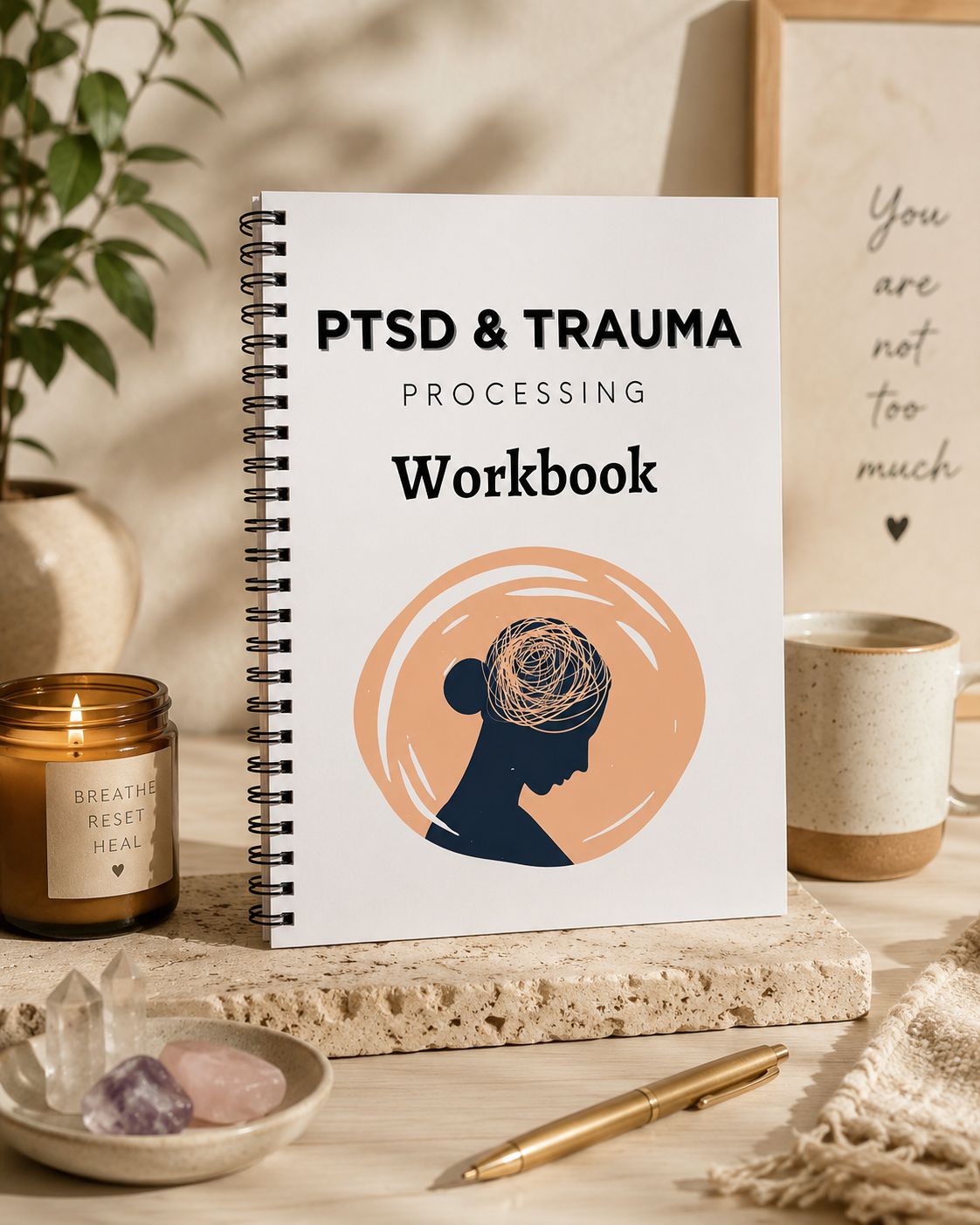 PTSD & TRAUMA WORKBOOK