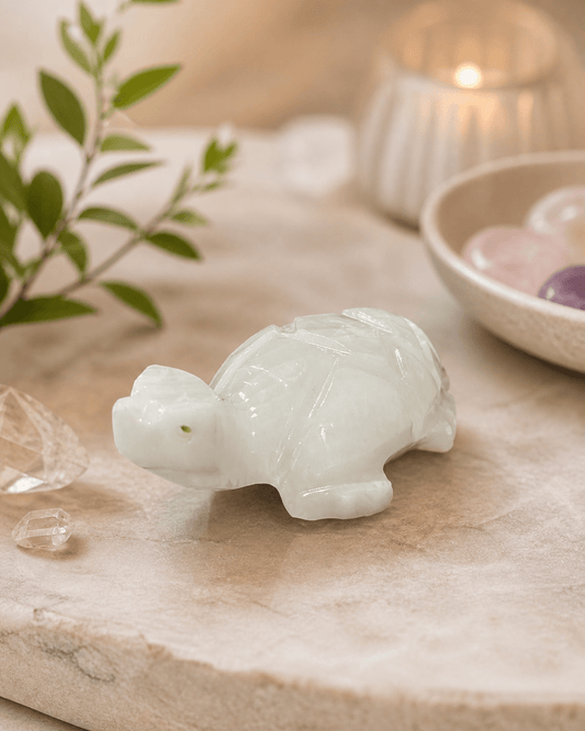 QUARTZ TURTLE - Evolve Supply Co. Evolve Supply Co.