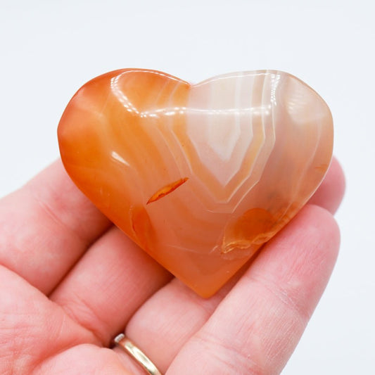 Carnelian Hearts - Evolve Supply Co. Evolve Supply Co.