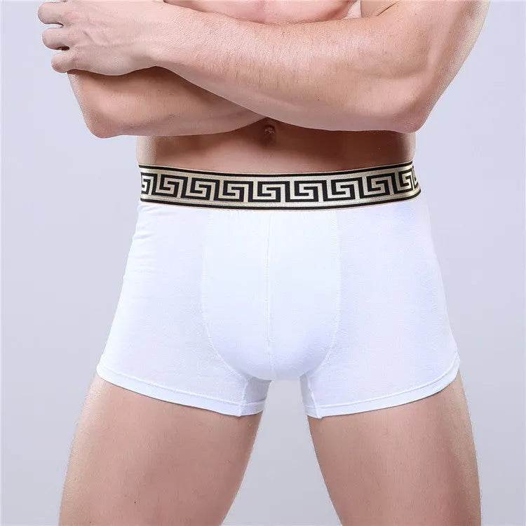 Men's Cotton Boxer Briefs Casual Solid Color Mid Waist underwear - Evolve Supply Co. Evolve Supply Co.